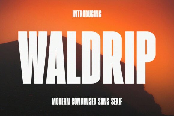 Waldrip: Integrating Clarity and Versatility into Modern Design Workflows